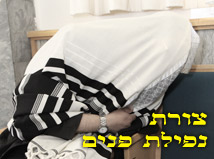 צורת נפילת פנים