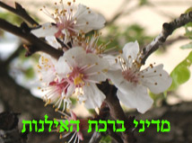 שיעור מאת מרן שליט"א - ברכת האילנות