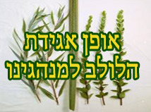 אופן אגידת הלולב